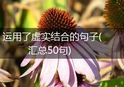 运用了虚实结合的句子(汇总50句)