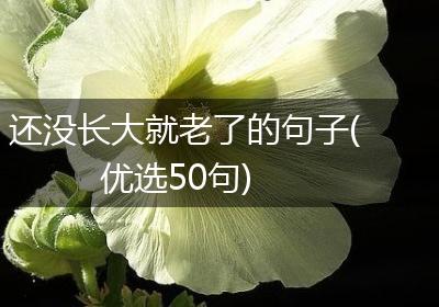 还没长大就老了的句子(优选50句)