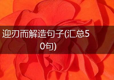 迎刃而解造句子(汇总50句)