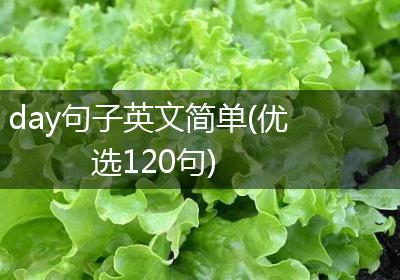 day句子英文简单(优选120句)