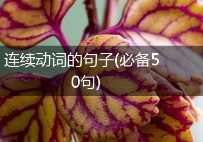 连续动词的句子(必备50句)