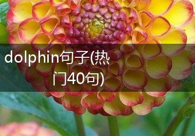 dolphin句子(热门40句)