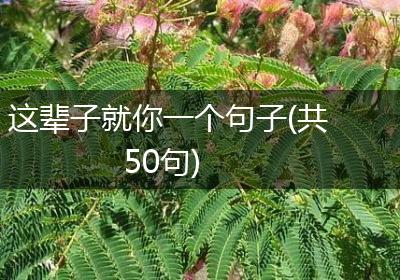 这辈子就你一个句子(共50句)