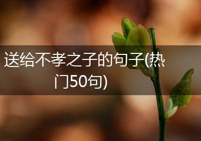 送给不孝之子的句子(热门50句)