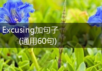 Excusing加句子(通用60句)