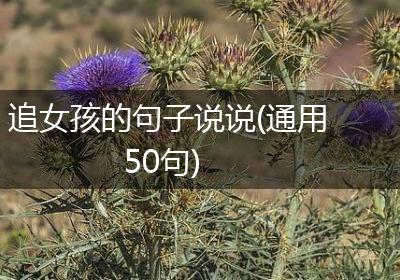 追女孩的句子说说(通用50句)