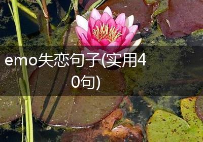 emo失恋句子(实用40句)