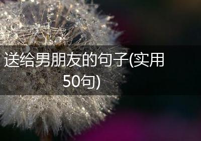 送给男朋友的句子(实用50句)