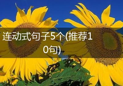 连动式句子5个(推荐10句)