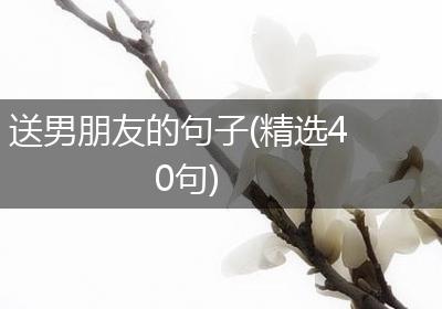 送男朋友的句子(精选40句)
