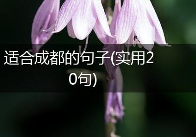 适合成都的句子(实用20句)