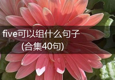 five可以组什么句子(合集40句)