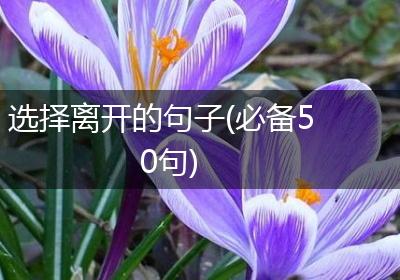 选择离开的句子(必备50句)