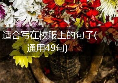 适合写在校服上的句子(通用49句)