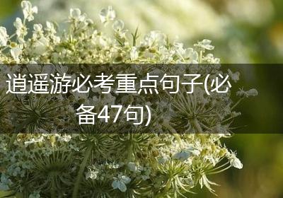 逍遥游必考重点句子(必备47句)