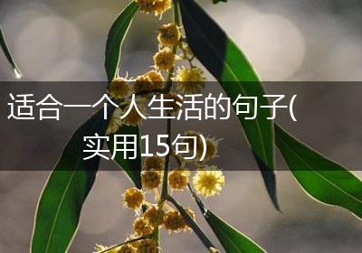适合一个人生活的句子(实用15句)
