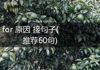 for 原因 接句子(推荐60句)