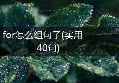 for怎么组句子(实用40句)