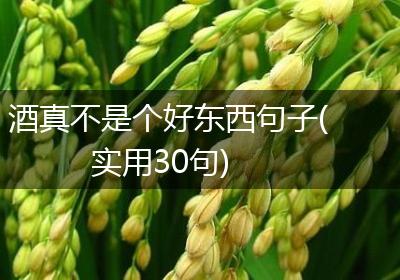 酒真不是个好东西句子(实用30句)