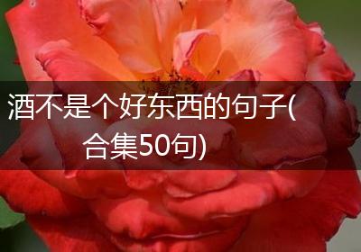 酒不是个好东西的句子(合集50句)