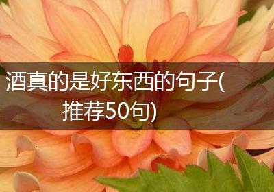酒真的是好东西的句子(推荐50句)