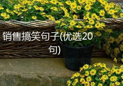 销售搞笑句子(优选20句)