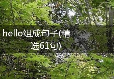 hello组成句子(精选61句)