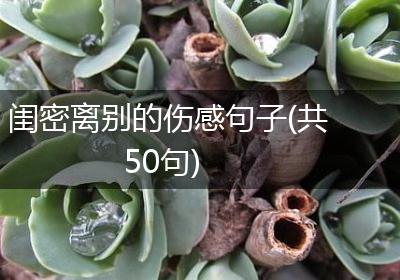 闺密离别的伤感句子(共50句)