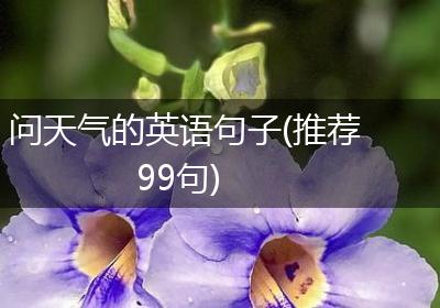 问天气的英语句子(推荐99句)