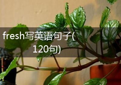 fresh写英语句子(120句)