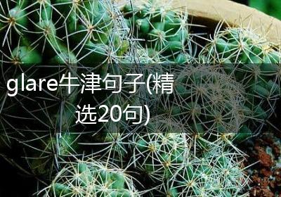 glare牛津句子(精选20句)