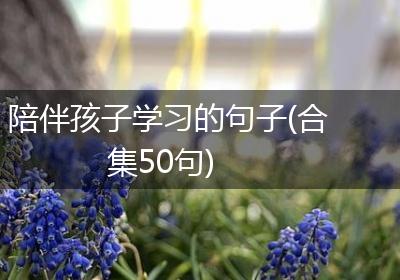 陪伴孩子学习的句子(合集50句)