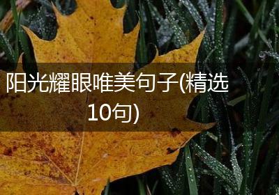 阳光耀眼唯美句子(精选10句)