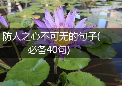 防人之心不可无的句子(必备40句)
