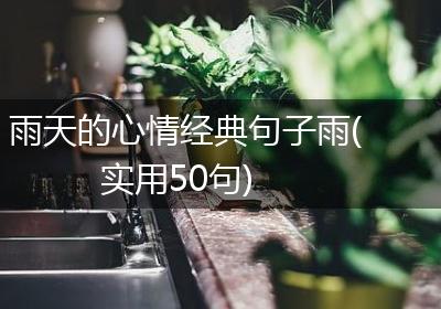 雨天的心情经典句子雨(实用50句)