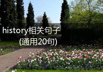 history相关句子(通用20句)