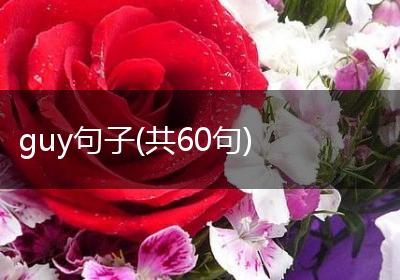 guy句子(共60句)