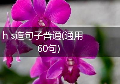 h s造句子普通(通用60句)