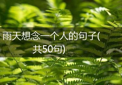 雨天想念一个人的句子(共50句)