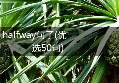 halfway句子(优选50句)