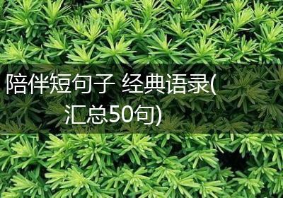陪伴短句子 经典语录(汇总50句)