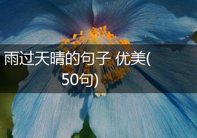雨过天晴的句子 优美(50句)