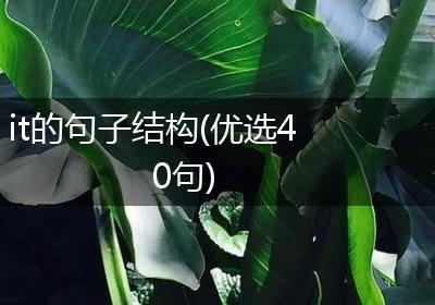 it的句子结构(优选40句)