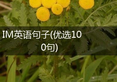 IM英语句子(优选100句)