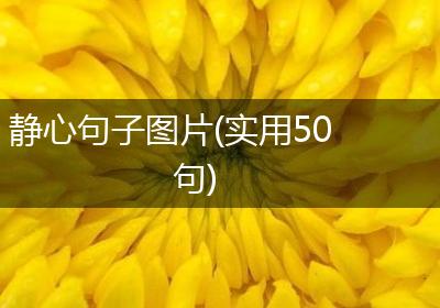 静心句子图片(实用50句)