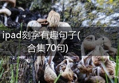 ipad刻字有趣句子(合集70句)