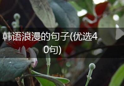 韩语浪漫的句子(优选40句)