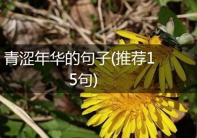 青涩年华的句子(推荐15句)