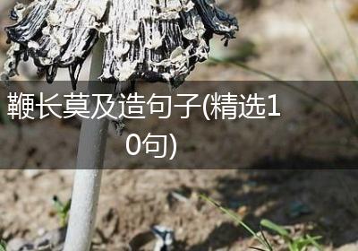鞭长莫及造句子(精选10句)