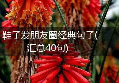 鞋子发朋友圈经典句子(汇总40句)